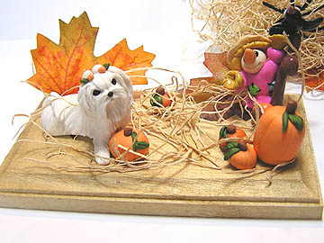 maltesepumpkinpatch2-copy.JPG